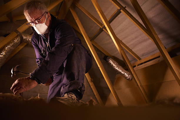 Best Insulation Installation Services in Hart, MI